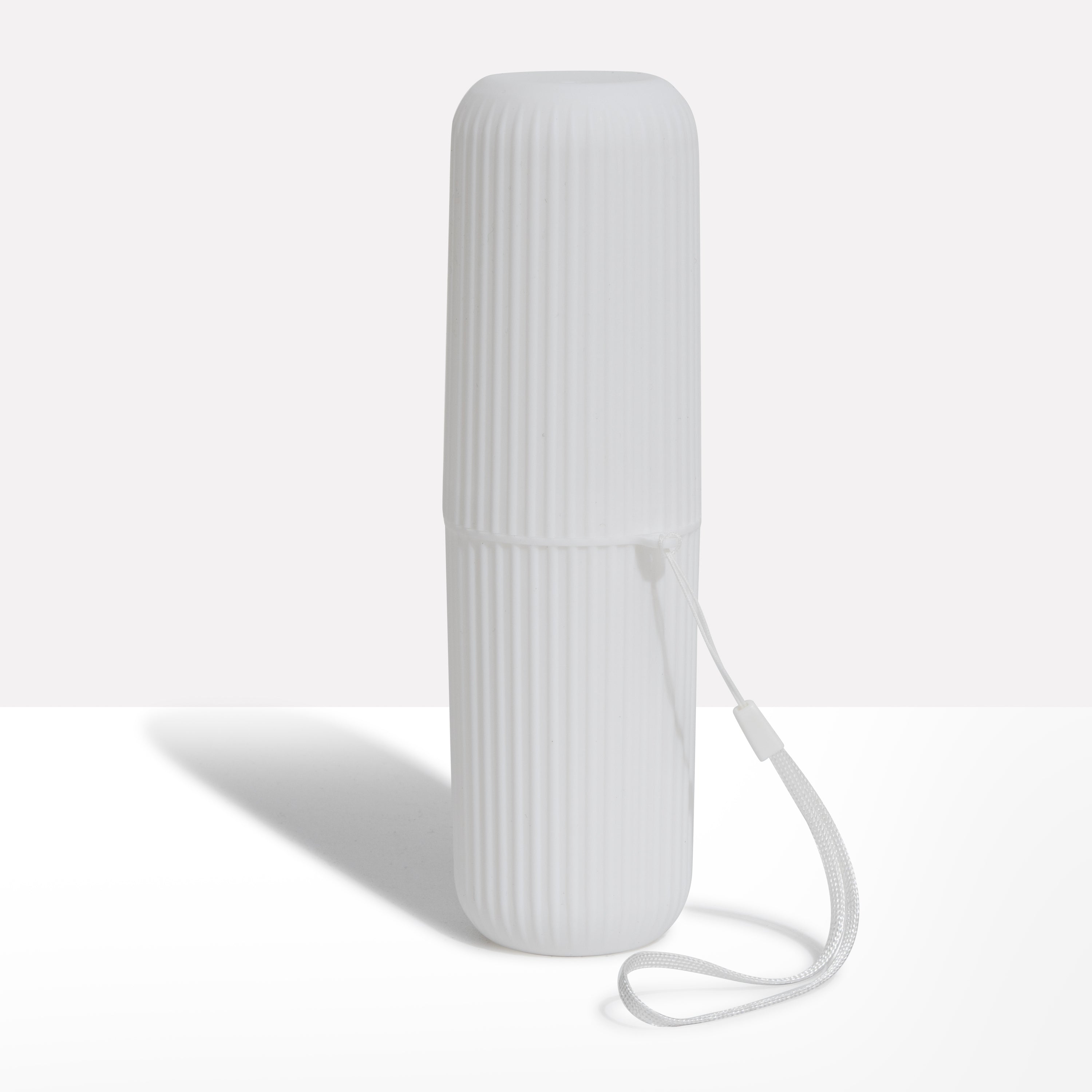 Travel Dental Storage Case